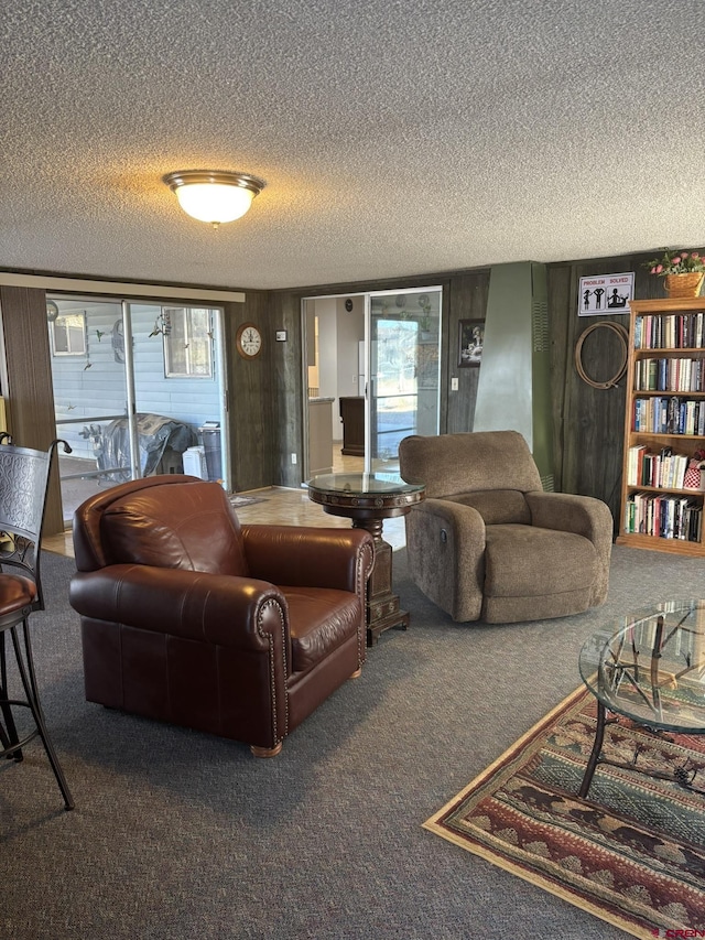 745 Hartig St, Delta, CO 81416 - living room with a textured ceiling and carpet floors
