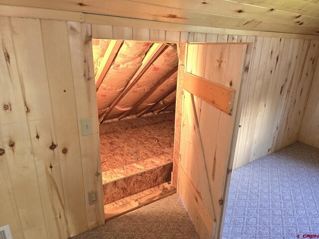 view of unfinished attic