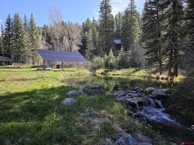 view of yard featuring a wooded view