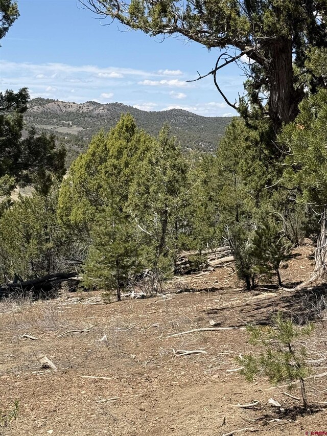 TBD Road J8, Mancos, CO 81328
