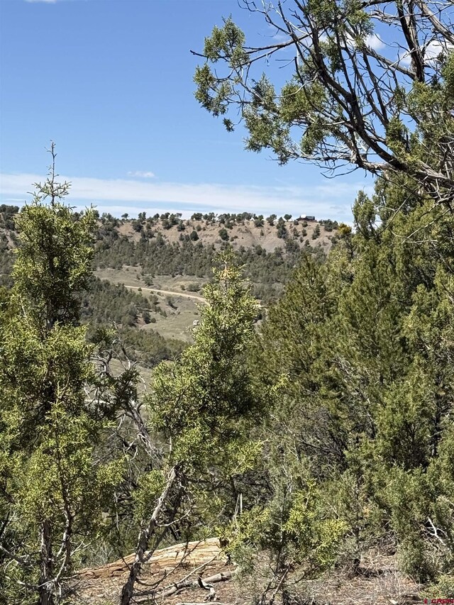 TBD Road J8, Mancos, CO 81328