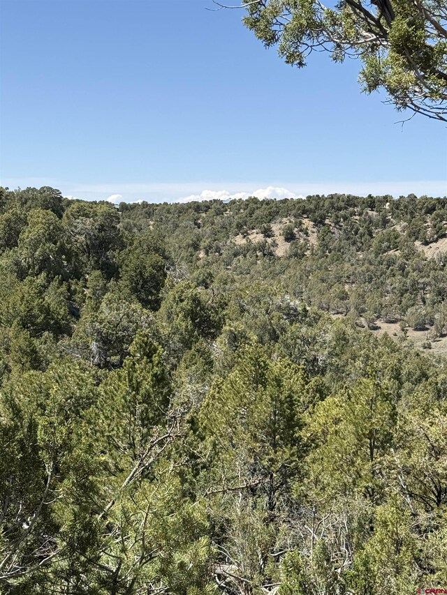 TBD Road J8, Mancos, CO 81328