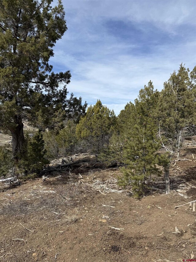 TBD Road J8, Mancos, CO 81328
