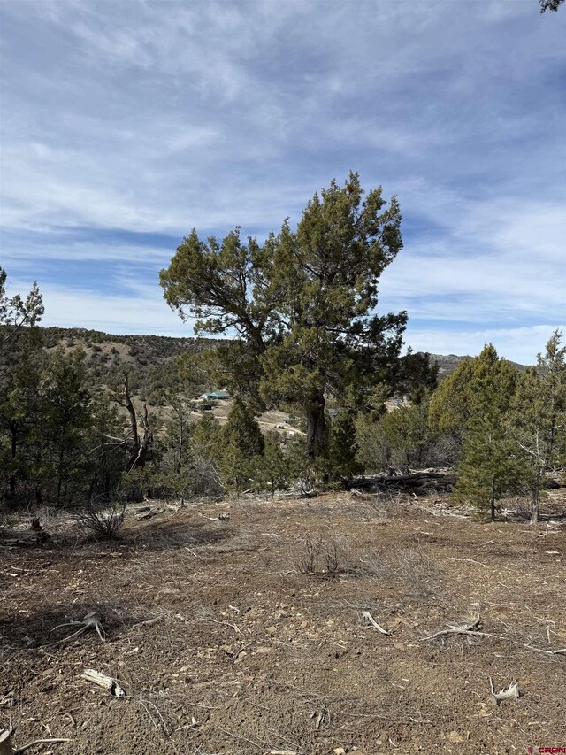 TBD Road J8, Mancos, CO 81328