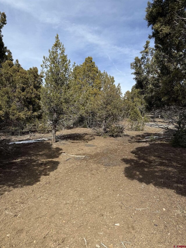 TBD Road J8, Mancos, CO 81328