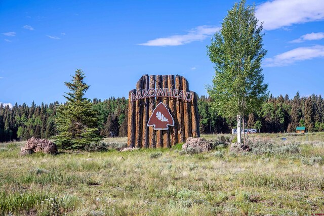 355 Ponderosa Way, Cimarron, CO 81220