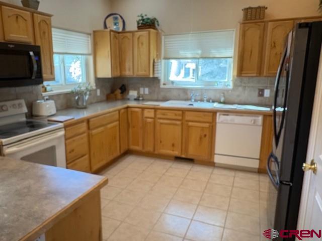440 Old Goat Trl, Cedaredge, CO 81413 - kitchen with plenty of natural light, black appliances, decorative backsplash, and a sink