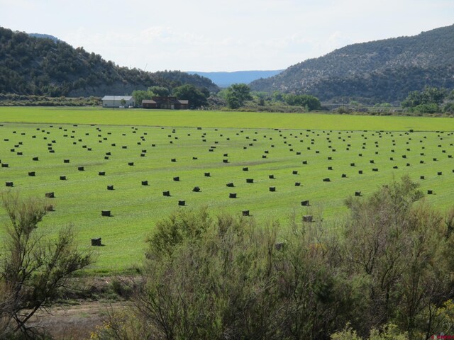 TBDLOT2 Rd G, Cortez, CO 81321
