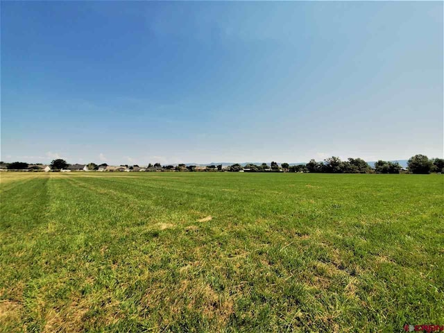 TBD Odelle Rd, Montrose, CO 81401