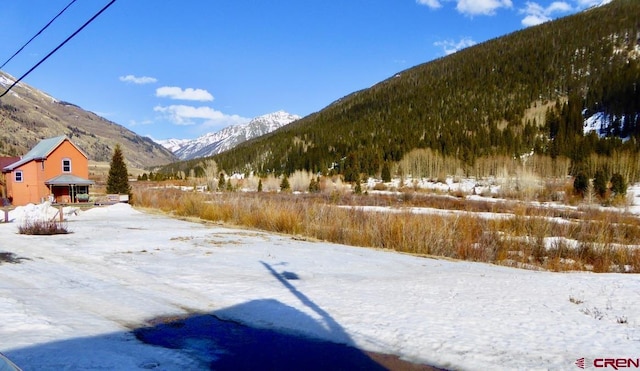 16TH Animas St, Silverton, CO 81433