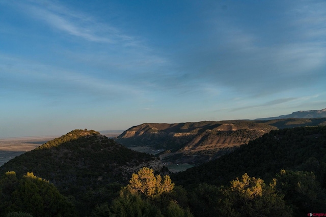 view of mountain feature