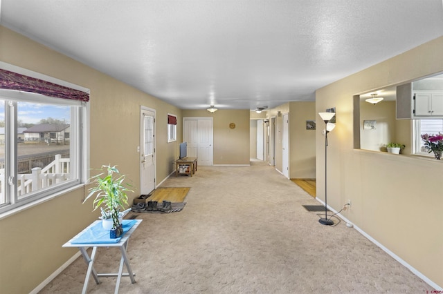 801 S Nevada Ave, Montrose, CO 81401 - interior space featuring baseboards and light colored carpet