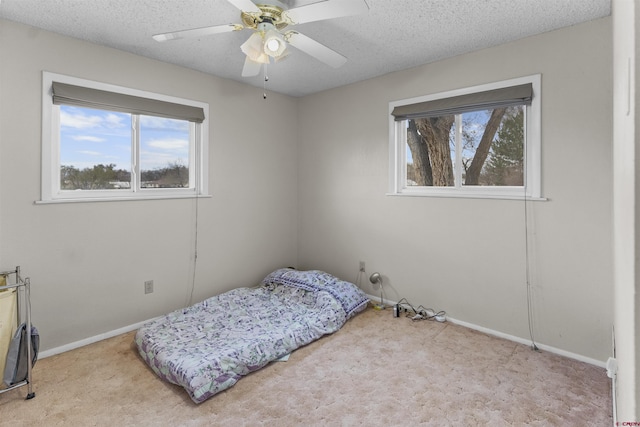 801 S Nevada Ave, Montrose, CO 81401 - carpeted bedroom with a ceiling fan, baseboards, and a textured ceiling