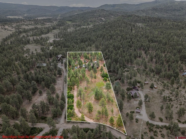 1838 Beaver Creek Dr, Bayfield, CO 81122 - aerial view with a wooded view and a mountain view