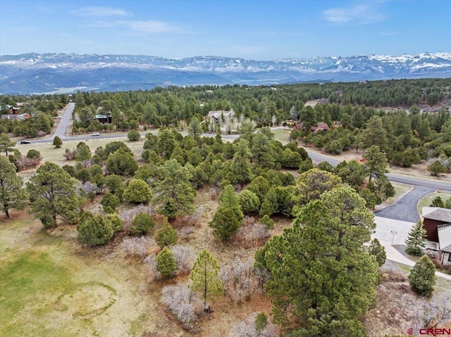 935 Marmot Dr, Ridgway, CO 81432