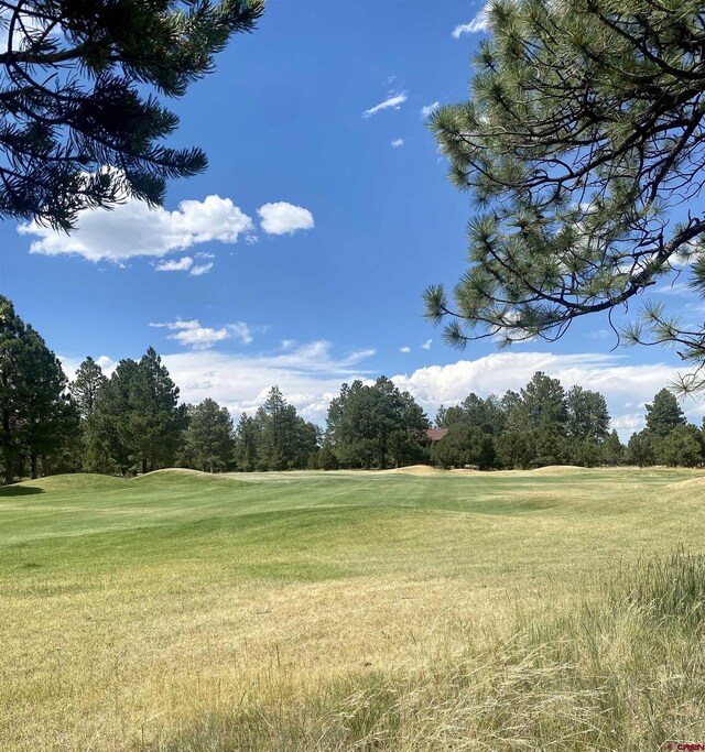 935 Marmot Dr, Ridgway, CO 81432