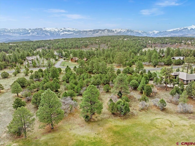 935 Marmot Dr, Ridgway, CO 81432