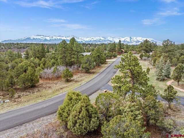 935 Marmot Dr, Ridgway, CO 81432