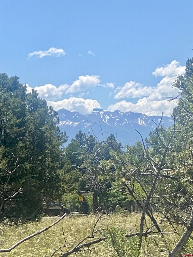 935 Marmot Dr, Ridgway, CO 81432