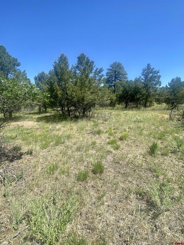 935 Marmot Dr, Ridgway, CO 81432