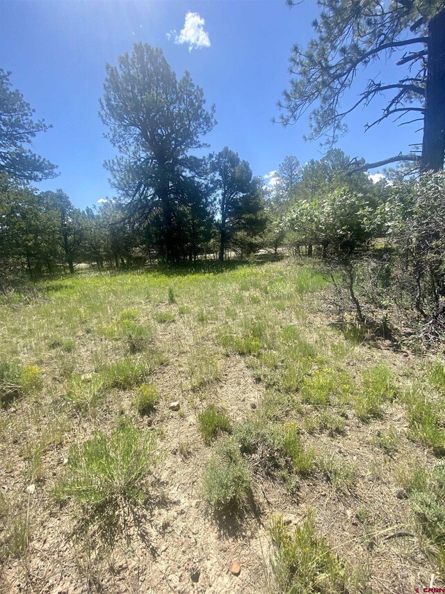 935 Marmot Dr, Ridgway, CO 81432