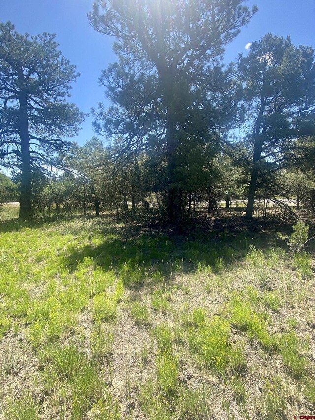 935 Marmot Dr, Ridgway, CO 81432