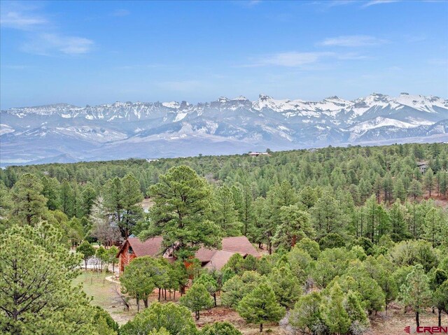 935 Marmot Dr, Ridgway, CO 81432