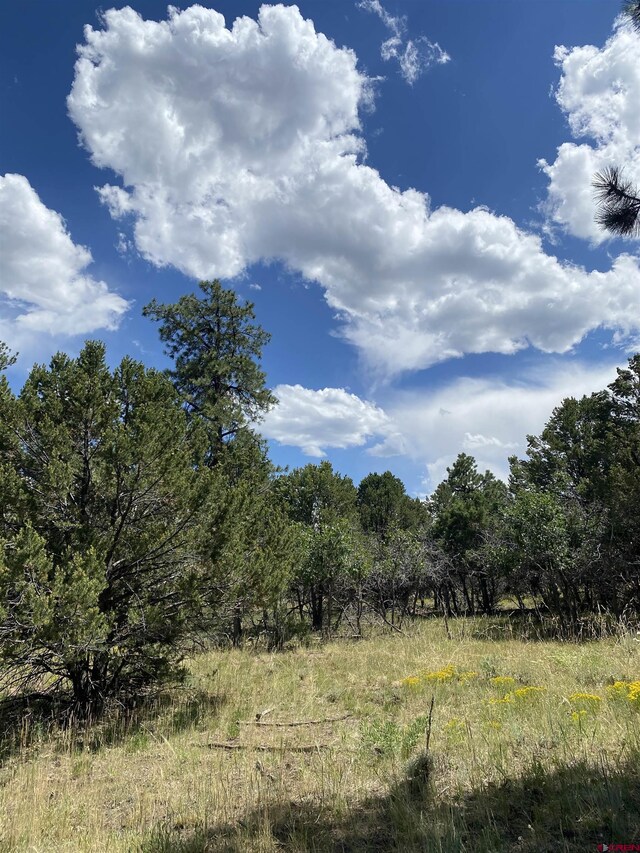 935 Marmot Dr, Ridgway, CO 81432