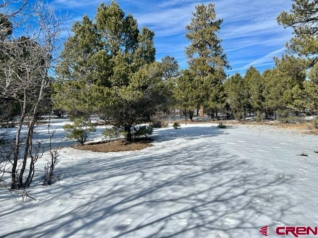 935 Marmot Dr, Ridgway, CO 81432