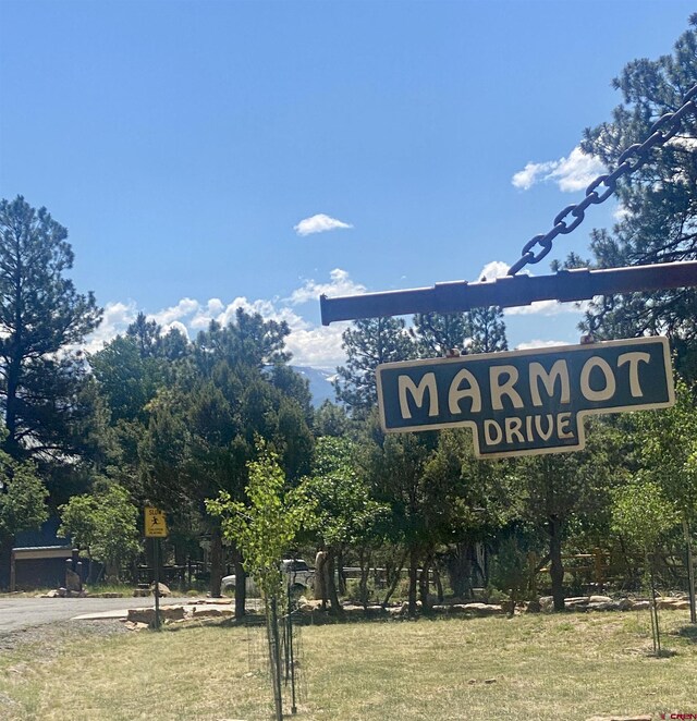 935 Marmot Dr, Ridgway, CO 81432