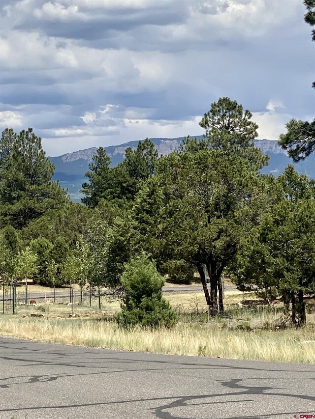 935 Marmot Dr, Ridgway, CO 81432