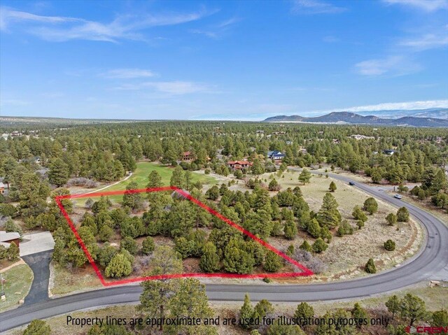 935 Marmot Dr, Ridgway, CO 81432