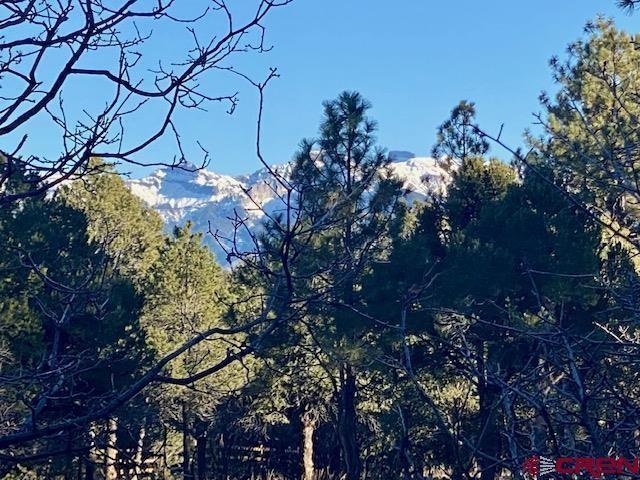 935 Marmot Dr, Ridgway, CO 81432