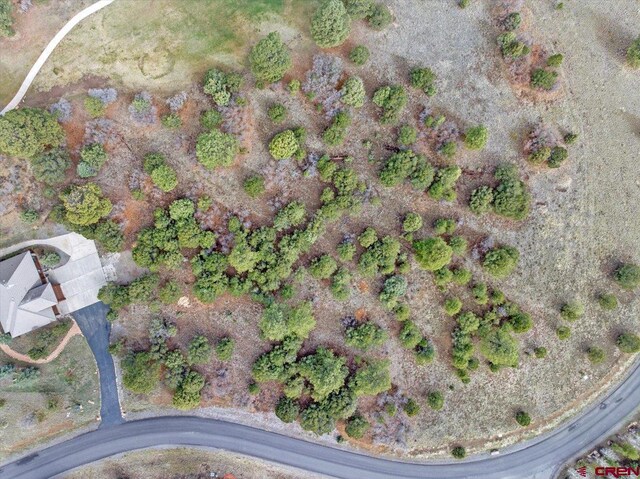 935 Marmot Dr, Ridgway, CO 81432