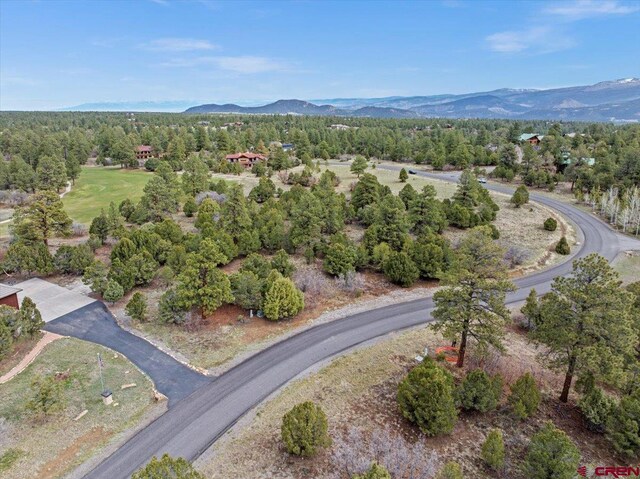 935 Marmot Dr, Ridgway, CO 81432