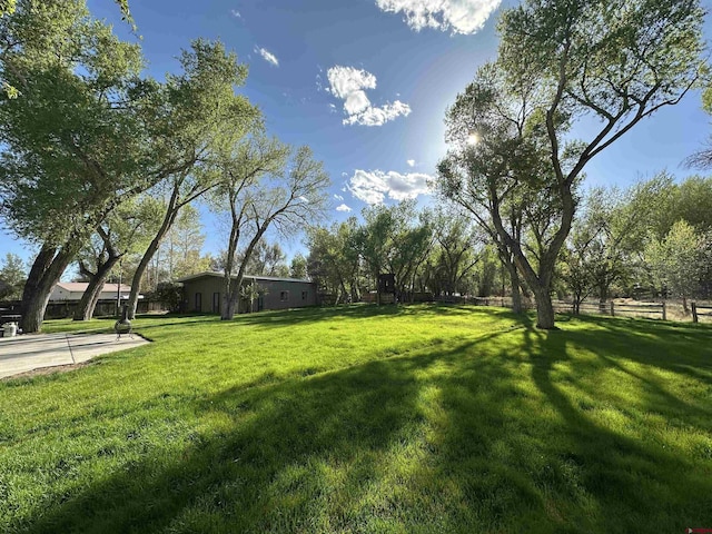6 Mountain View Pl, Alamosa, CO 81101 - view of yard