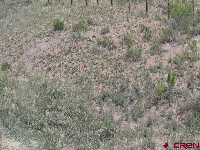 45 Country Meadows Pl, Ignacio, CO 81137