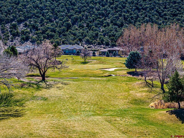 970 SE Fairway Dr, Cedaredge, CO 81413