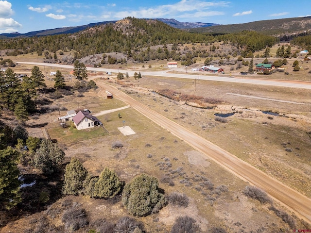 birds eye view of property featuring a mountain view and a rural view