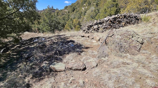 view of landscape featuring a wooded view