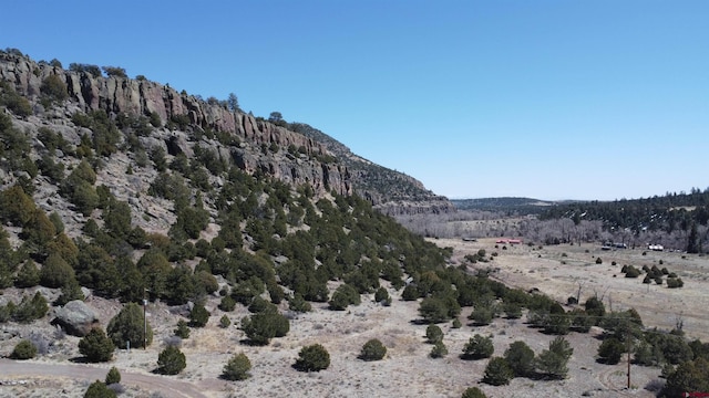 view of mountain feature