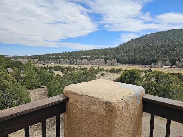 view of mountain feature featuring a forest view