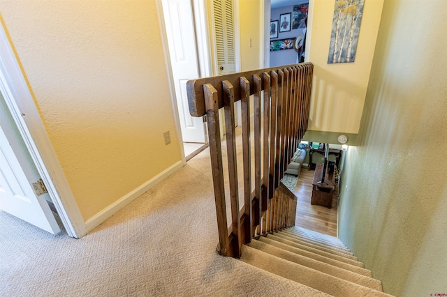 107 Shavano Dr Unit A1, Gunnison, CO 81230 - staircase featuring carpet flooring, baseboards, and a textured wall