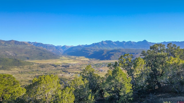 802I Pine Dr, Ridgway, CO 81432