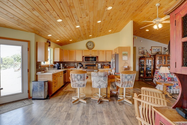 18725 Rd 25.8, Dolores, CO 81323 - kitchen featuring light brown cabinets, plenty of natural light, light countertops, appliances with stainless steel finishes, and a sink