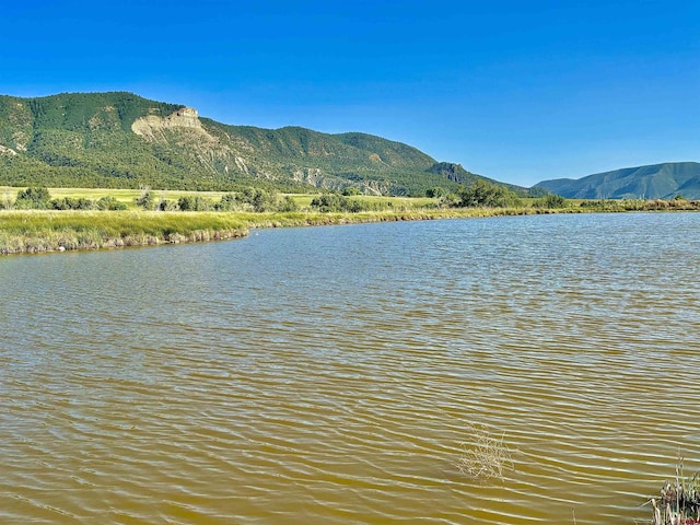 TBD Road G.6, Mancos, CO 81328