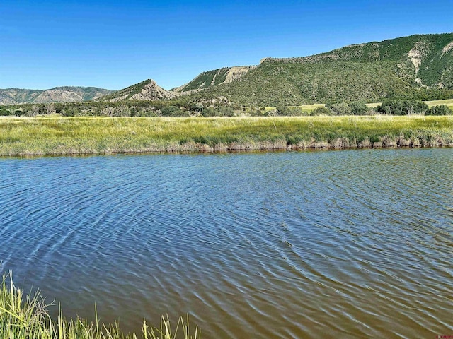 TBD Road G.6, Mancos, CO 81328
