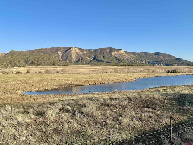 TBD Road G.6, Mancos, CO 81328