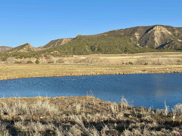 TBD Road G.6, Mancos, CO 81328