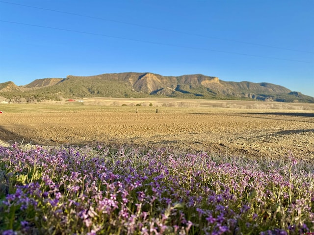 TBD Road G.6, Mancos, CO 81328